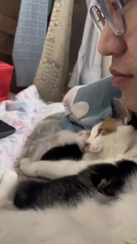 Cat introduces her babies to her human