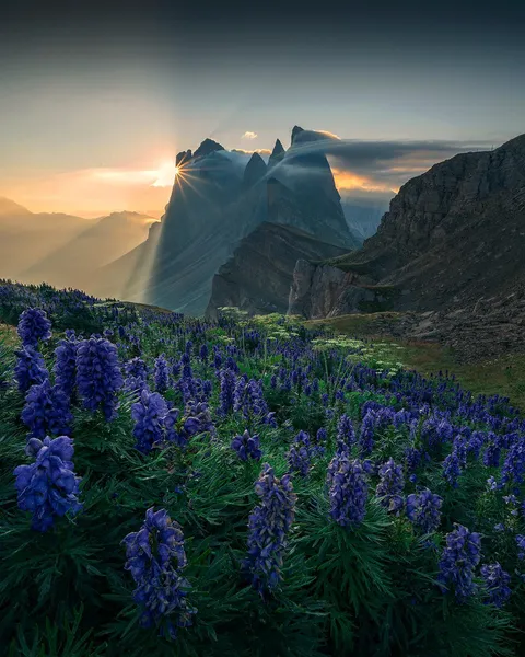 South Tyrol, Italy [OC][1080x1350] IG @holysh0t