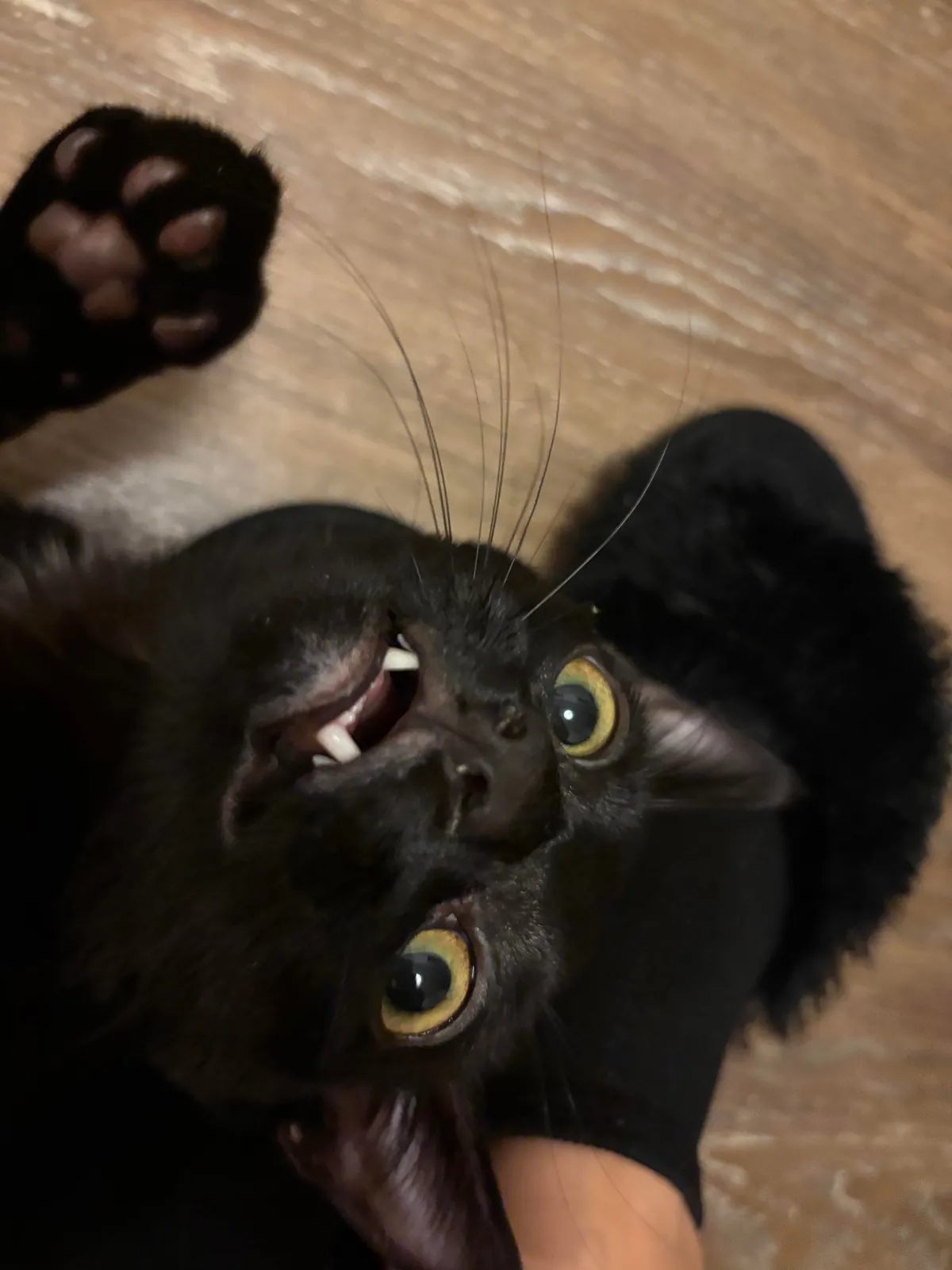 When mom comes home!