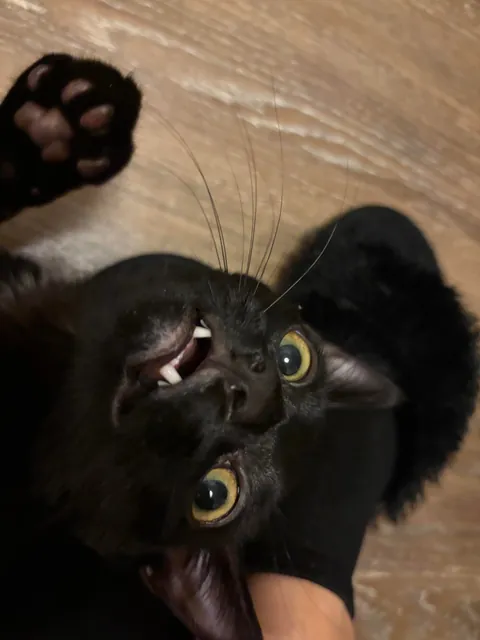 When mom comes home!