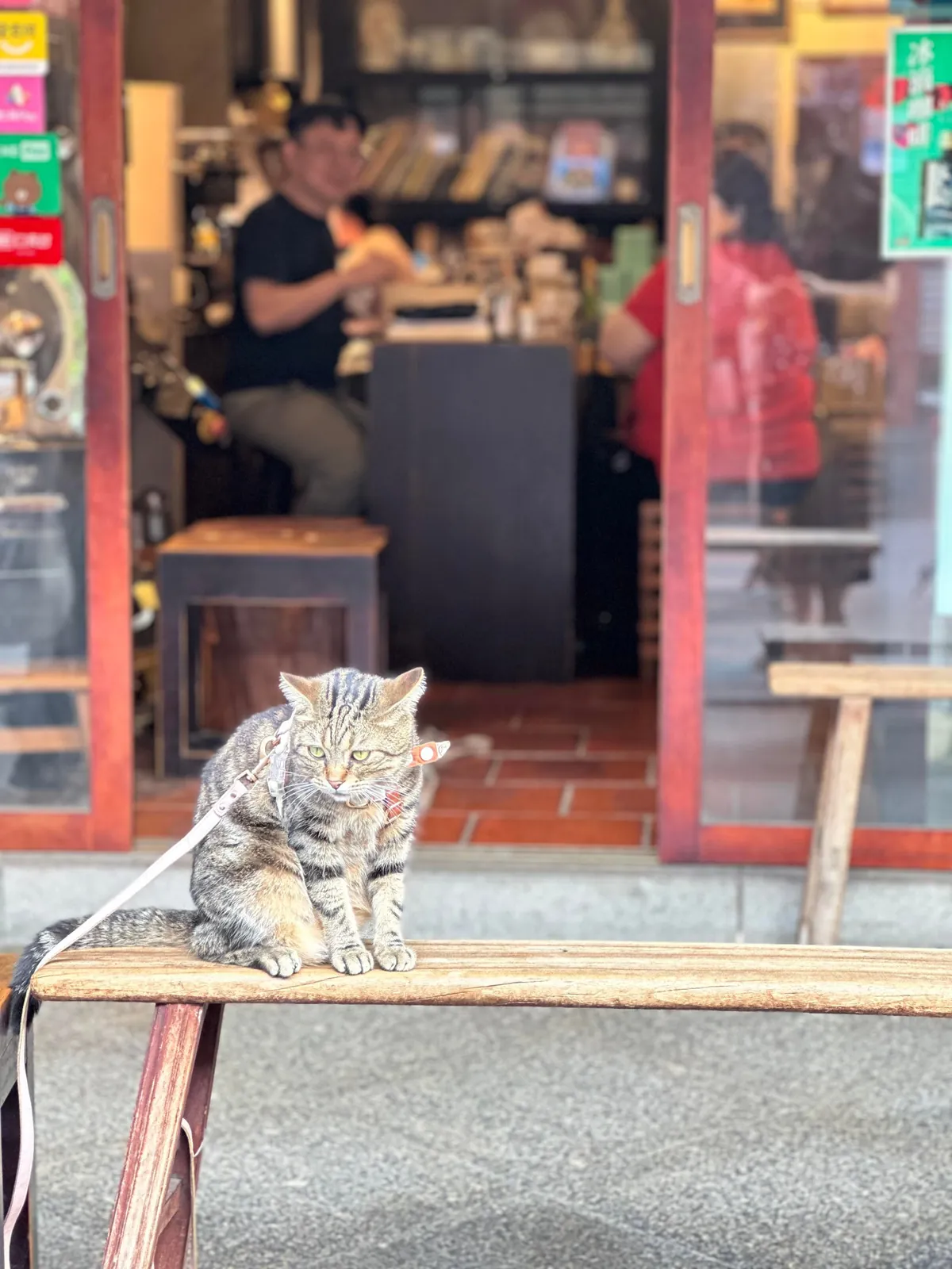 Taiwan blew us away- one of the most underrated hidden gem