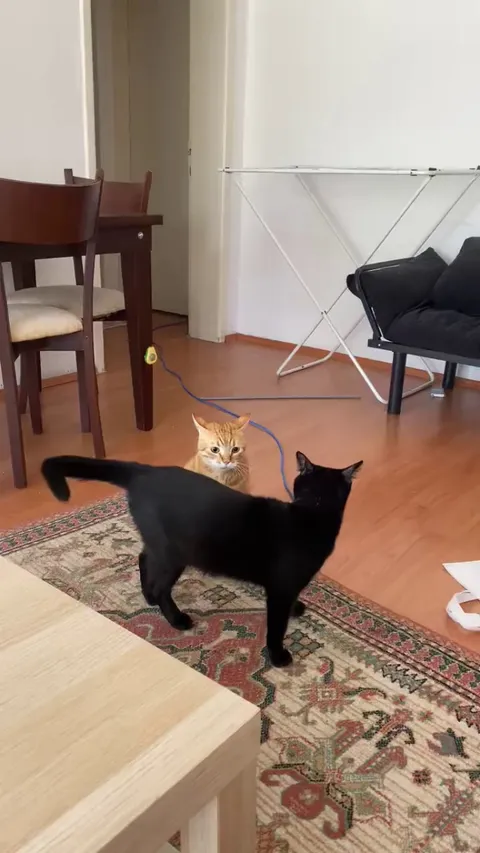 excuse me hello?? what just happened 