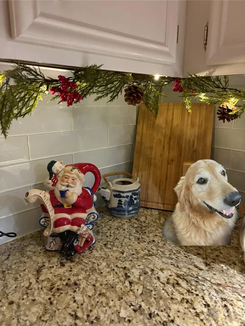 Our home ❤️ where cozy is the motto. 80% thrifted