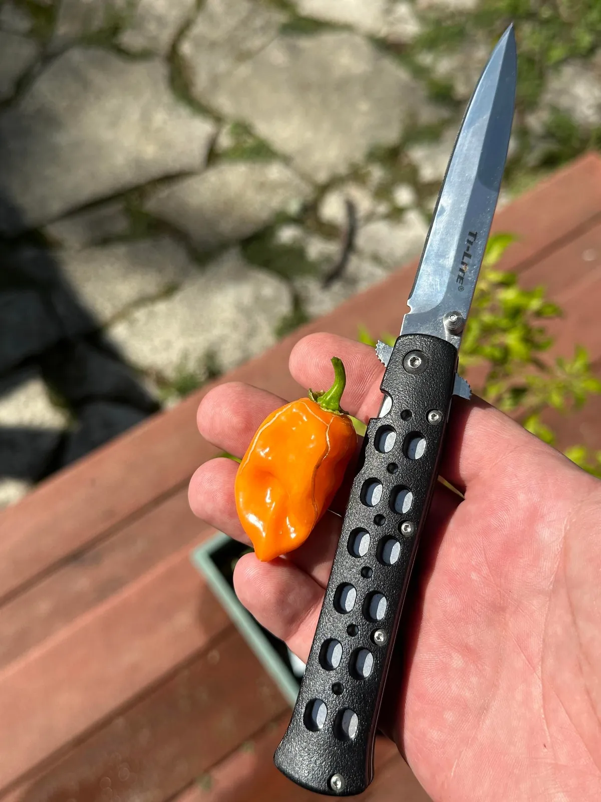 [homemade] hot ham and cheese