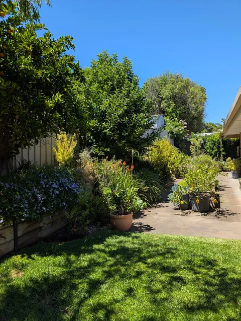 Happy New Year to all! A sunny morning spent in the garden, what a perfect start to the year.