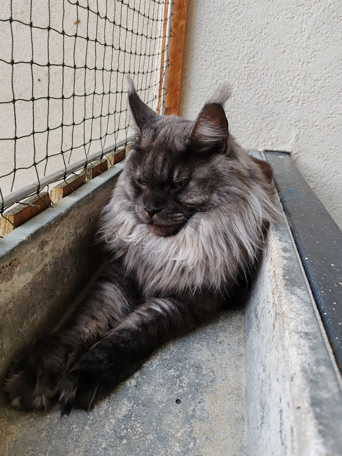 Hi reddit, it's Théoden. Did not see you for a long time