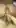 this is what good dick looks like 