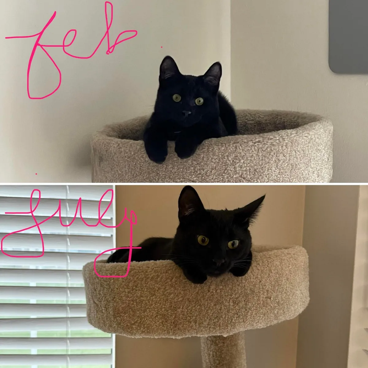 Soup Update: HE IS AN ADULT!!!