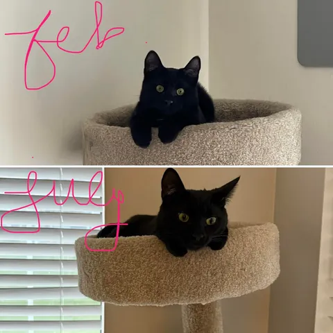 Soup Update: HE IS AN ADULT!!!