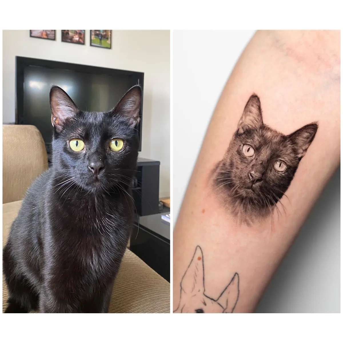 lil buddy with me forever now