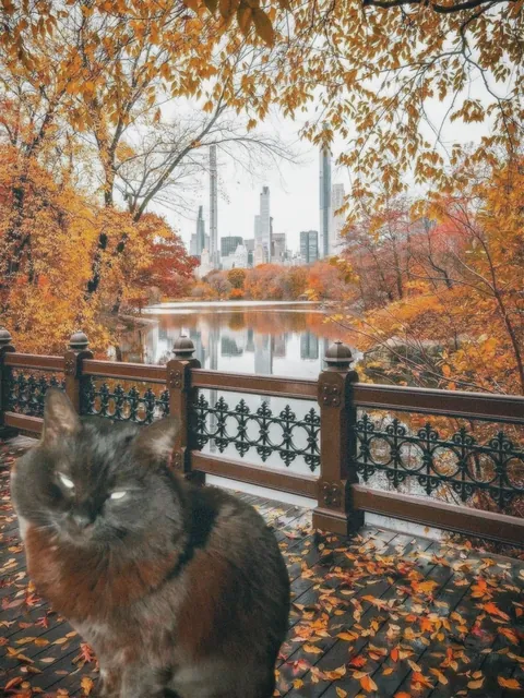 I made a calendar for my gf with edited photos of our void baby and I just needed to share them lol!