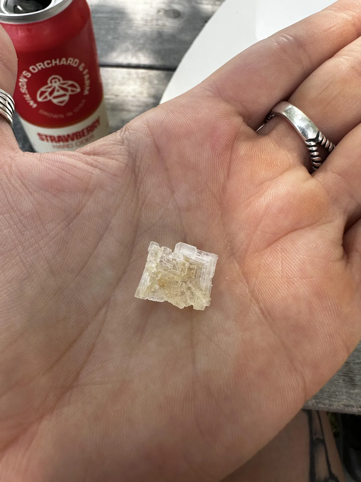 This piece of salt on my pizza. 