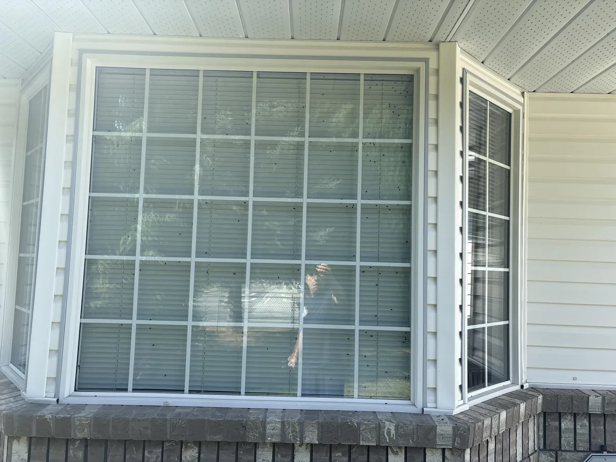 Went to dog/house sit for my Dad on the weekend and was greeted by this ABOMINATION!! (ZOOM IN)