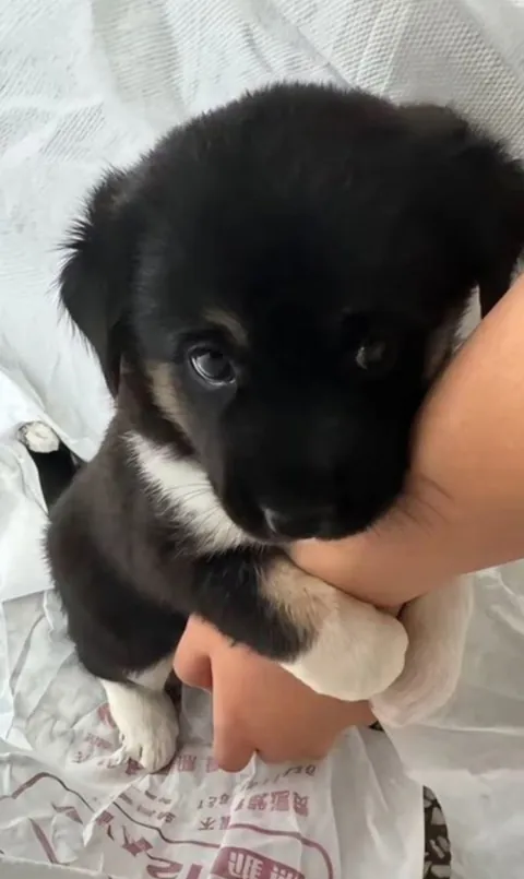 we are going home now