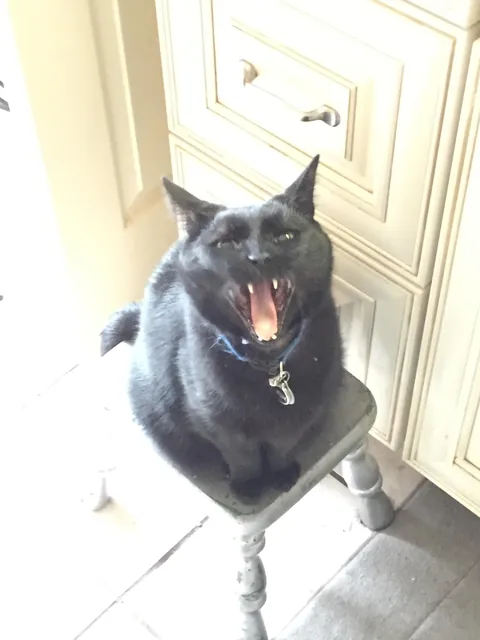 Heaven just got a little more BADASS!!