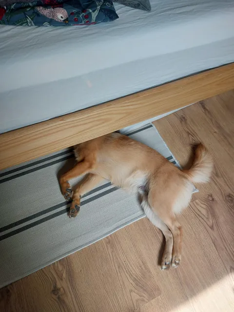 My bestest buddy Felix