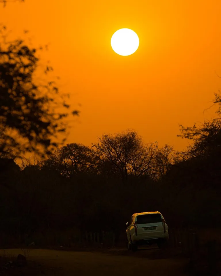 We spent a month in South Africa for our honeymoon. And we'd do it again. 