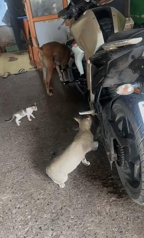 People asked for more photos of garage employees!