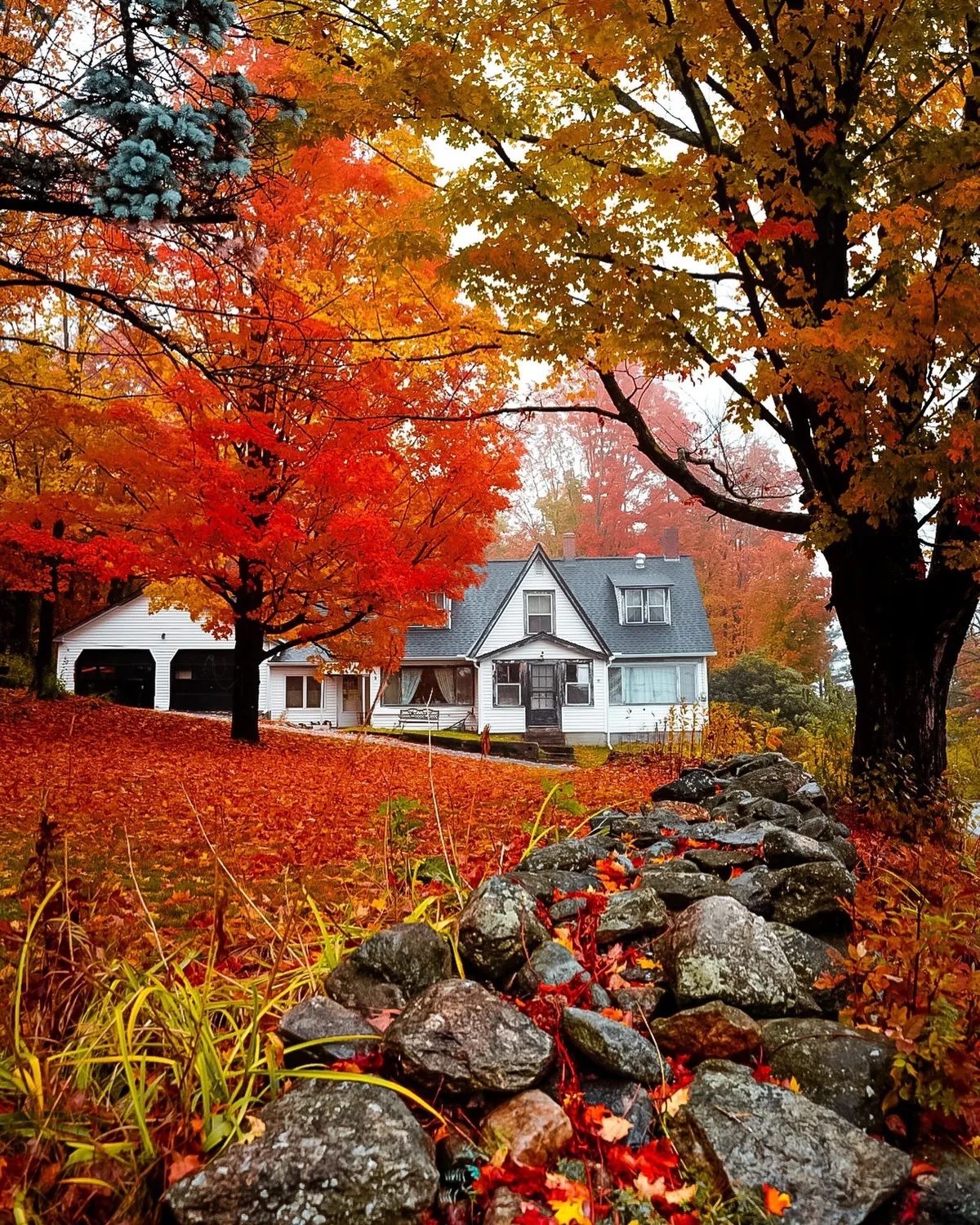 House surrounded by autumn foliage in New Hampshire.