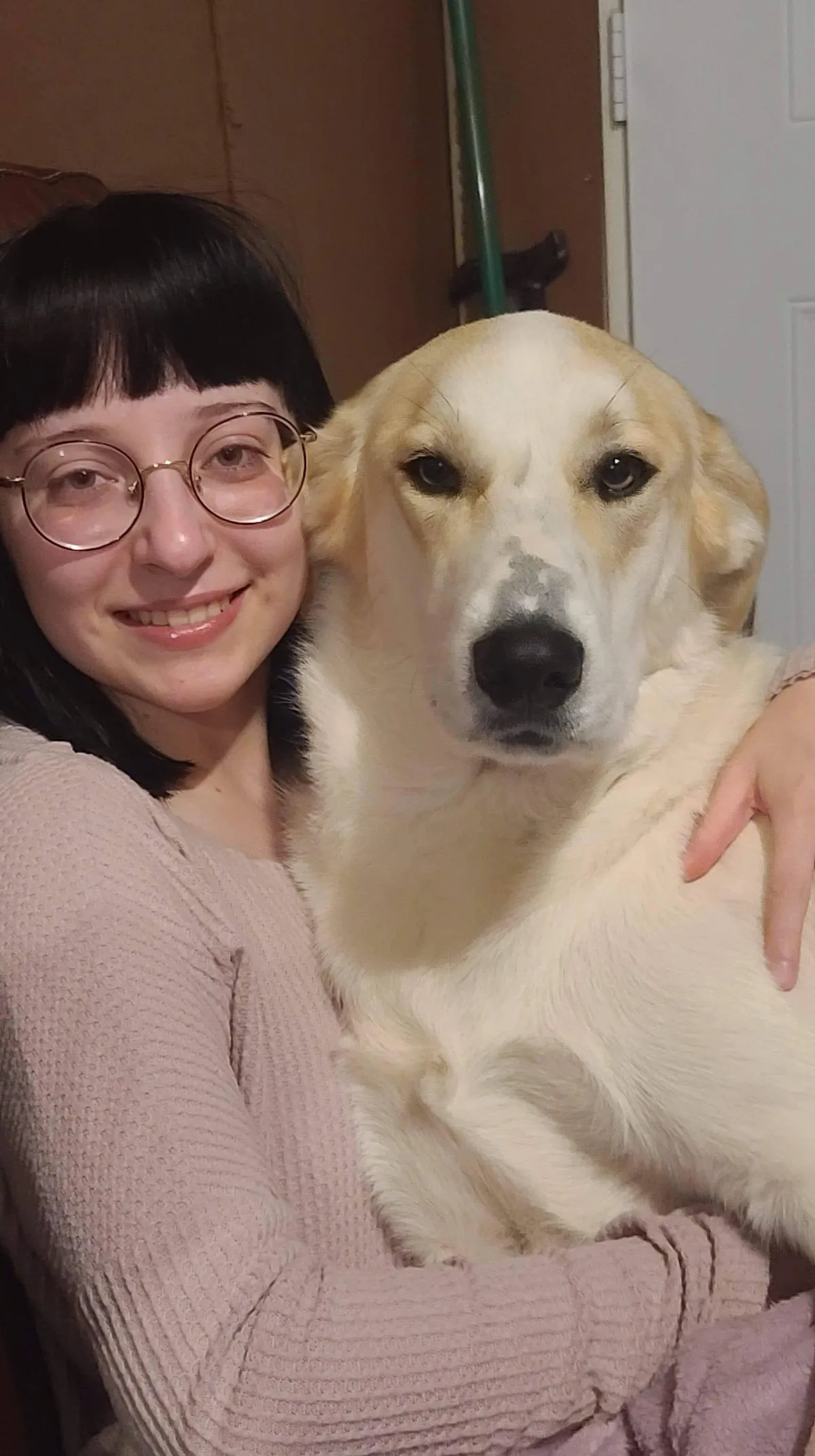 She thinks she's a lap dog