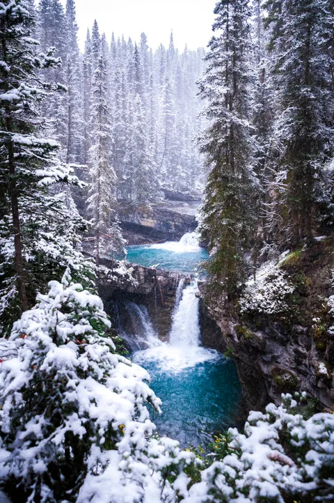 Today at Johnston Creek, AB, Canada [2724*4101] [OC]