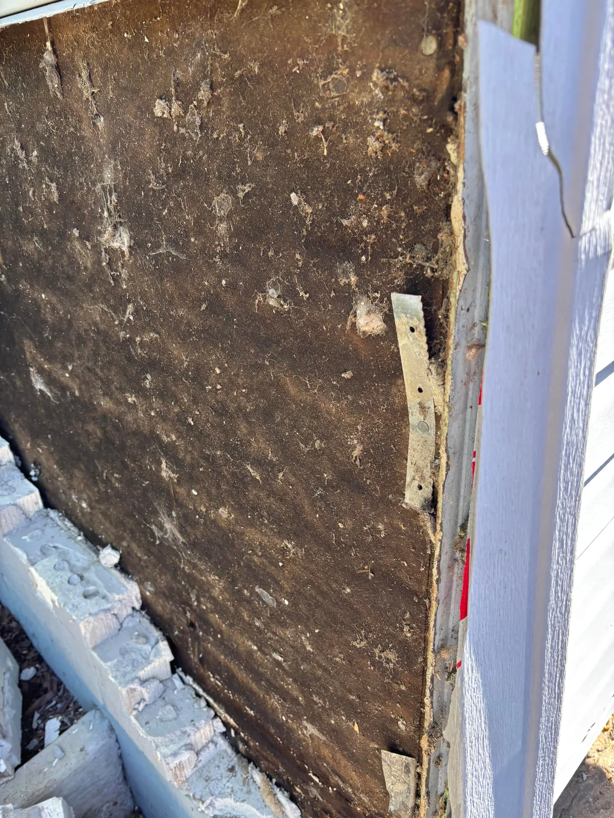 New homeowner, and I think I royally messed up.