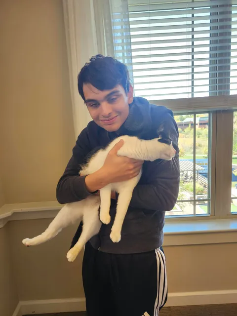 This is max, he is the cat of an old lady i deliver packages too. He is also incredibly friendly.