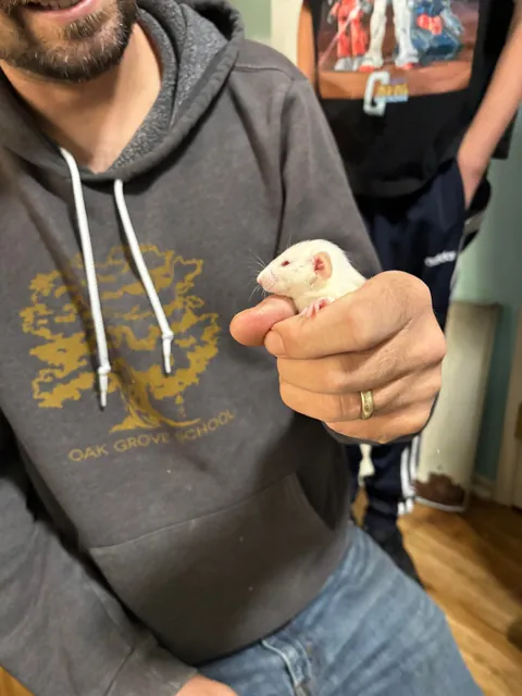 Welp now have 21 🤯