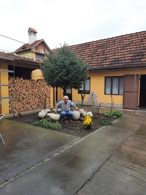 My pumpkin collection and a little vineyard