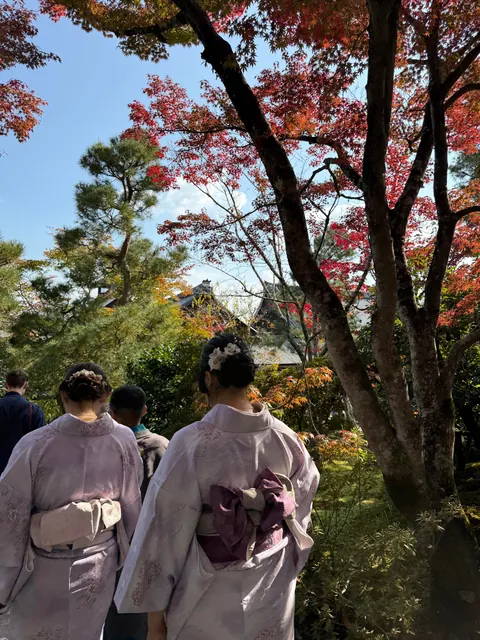Kyoto, Japan Trip in November 2025.
