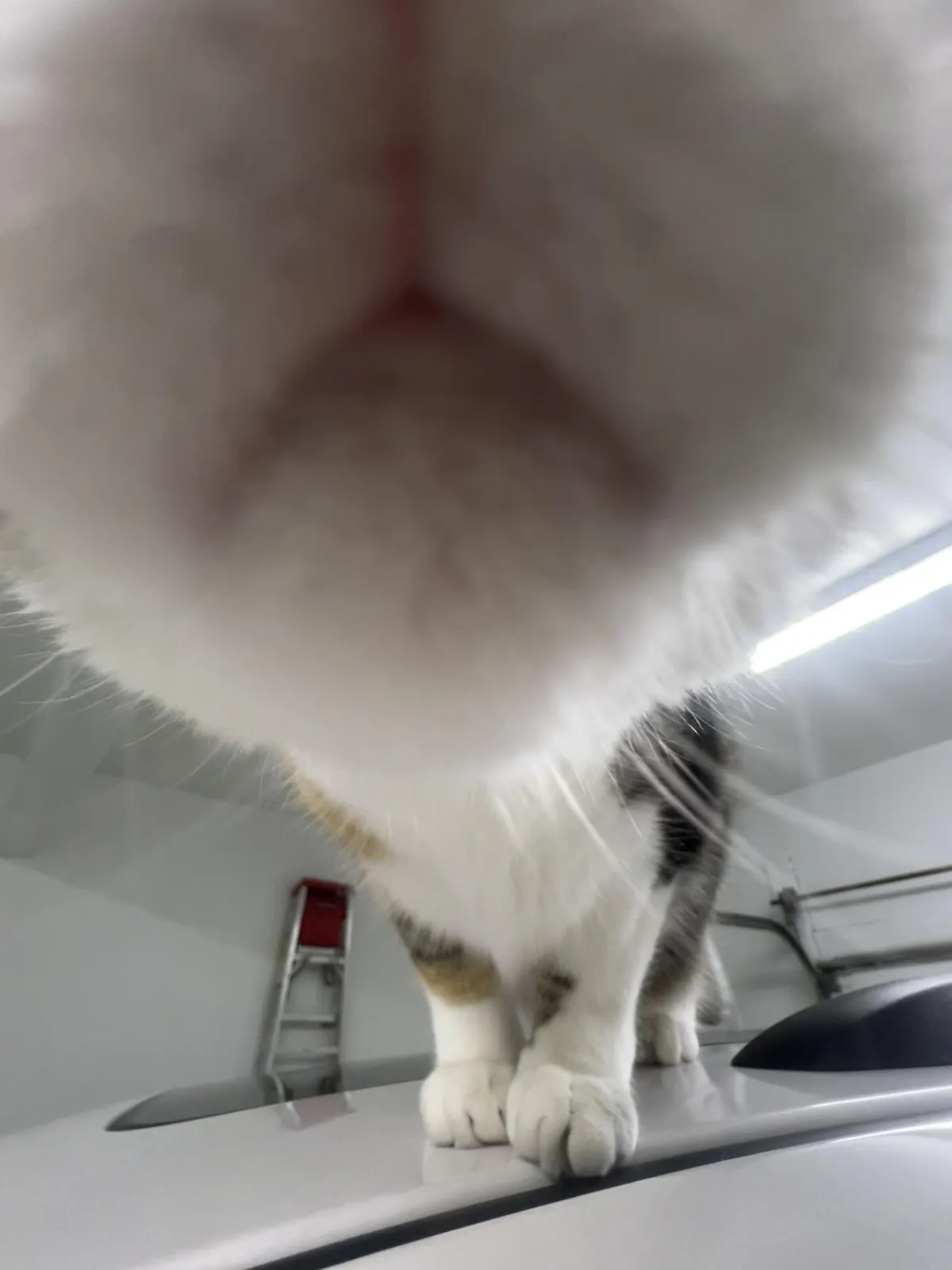 show me your best .5