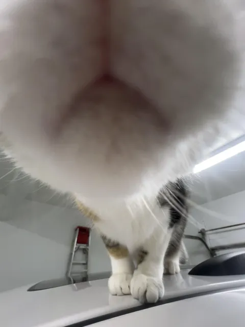 show me your best .5