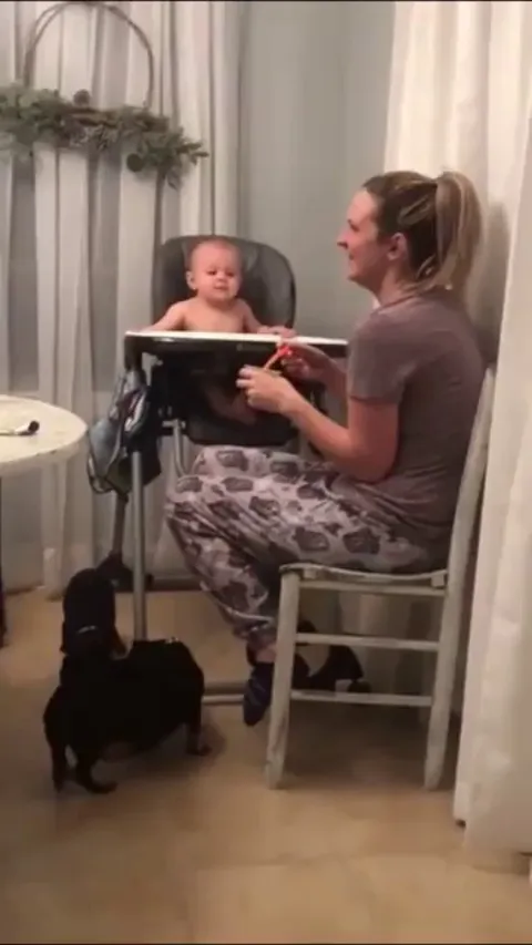 Adorable baby laughs seeing mother sneezing