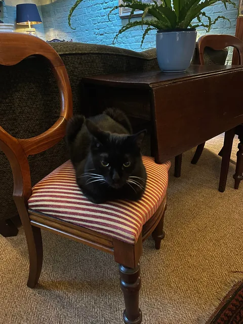 Another concierge at the London hotel