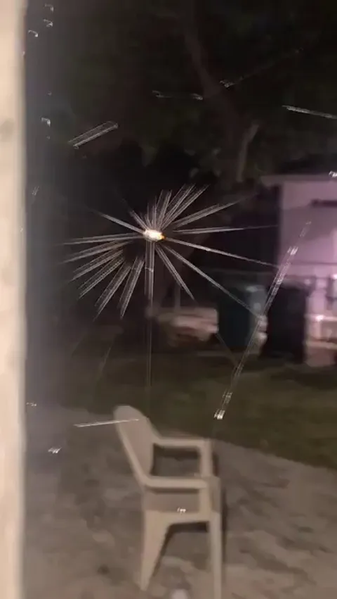 Okay, not the biggest spider fan but this little fellas got talent