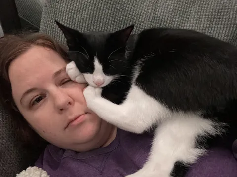 Just your average Friday night