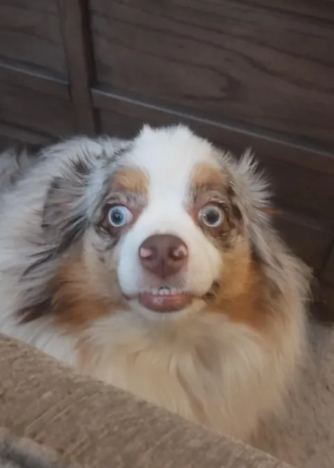 Her name is actually Derpy. For good reason