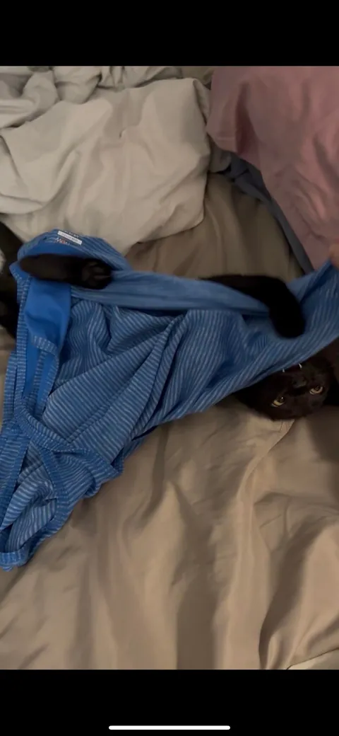 My handsome lil Monkey man😻🖤🖤🖤