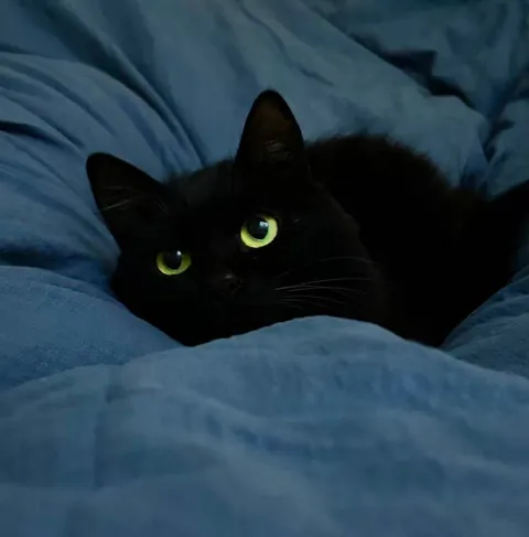 Healing me every day