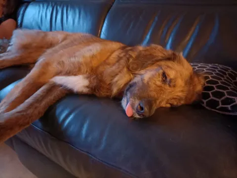 My girl Mandy (Mlemdy)