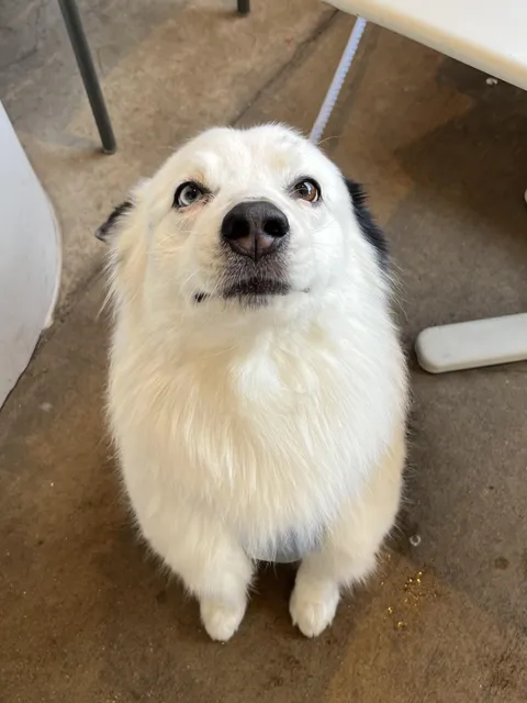 Had an angel stop by work