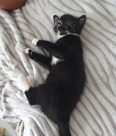 She was playing so hard and then all of a sudden...