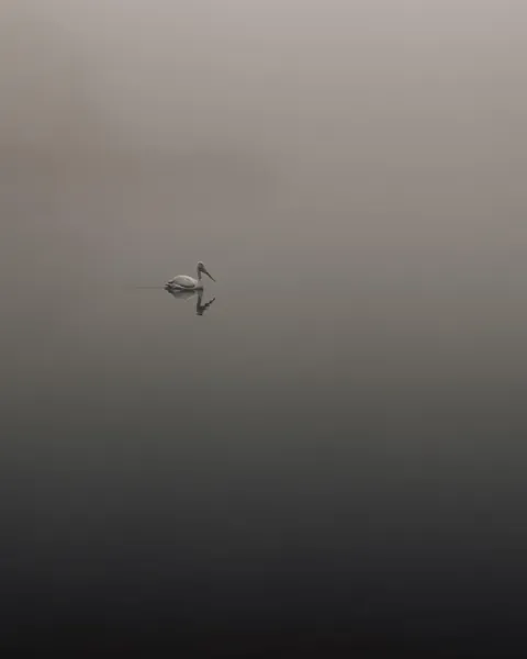 Does this work for minimalism?