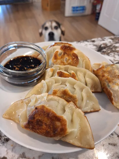 Pork and beef dumps [homemade]