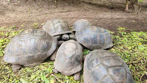 10 days in Seychelles