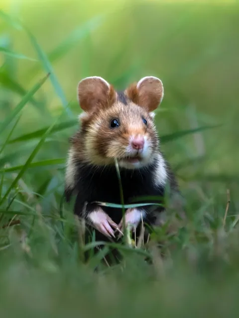 Photographer shows his POV vs the photos he takes.