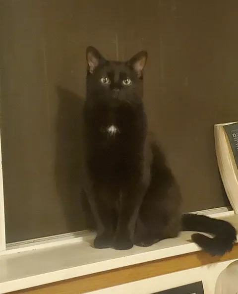 in my opinion 10/10 she is perfect. perfect stance