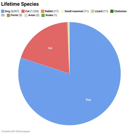 My Statistics as a Veterinarian - Year 3 [OC]