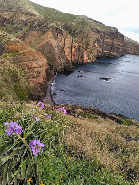 Madeira is a paradise for nature lovers. Five days on the island in pictures.