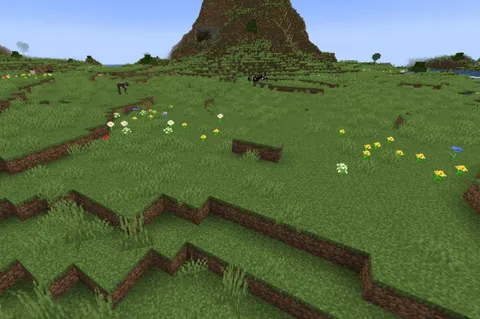 Since 1.0.0, Plains biomes have been able to generate